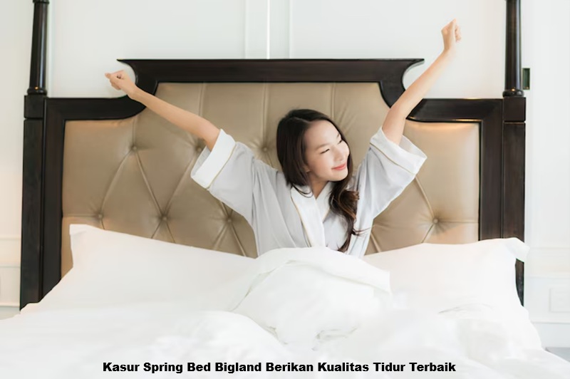 Kasur Spring Bed Bigland