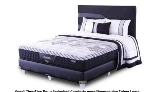 Kenali Tipe-Tipe Kasur Springbed Comforta yang Nyaman dan Tahan Lama Kenali Tipe-Tipe Kasur Springbed Comforta yang Nyaman dan Tahan Lama