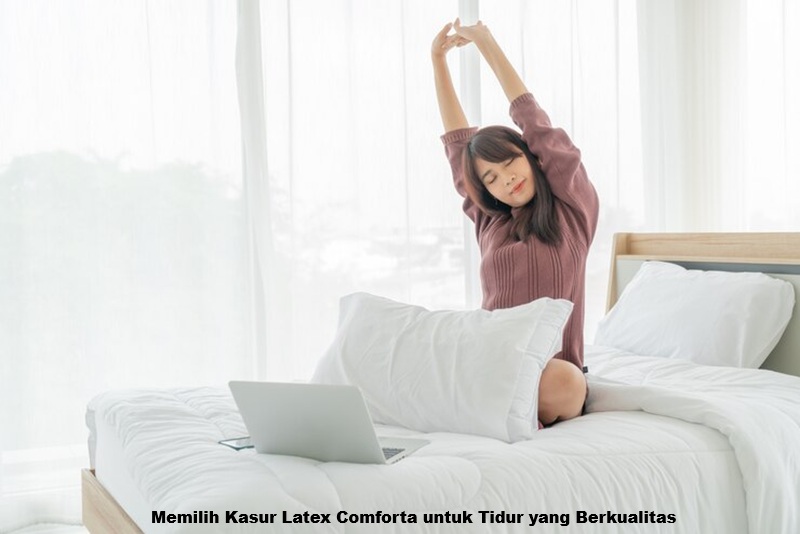 Kasur Latex Comforta