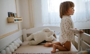 Rekomendasi Kasur Latex untuk Bayi dengan Material Natural dan Aman Rekomendasi Kasur Latex untuk Bayi dengan Material Natural dan Aman